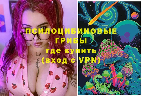 соль ск Россошь