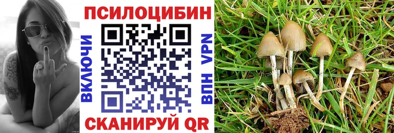 сколько стоит  omg ссылка  мориарти какой сайт  Каменногорск  Галлюциногенные грибы ЛСД 